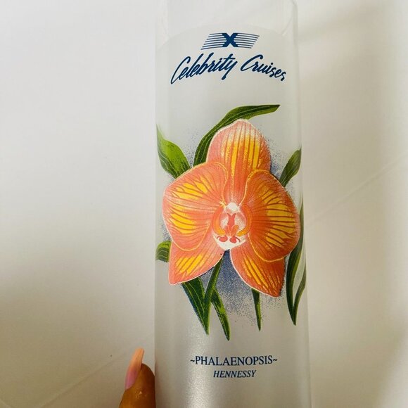 Vintage Celebrity Cruises Floral Frosted Cocktail Glasses - Set of 2 - Picture 2 of 13